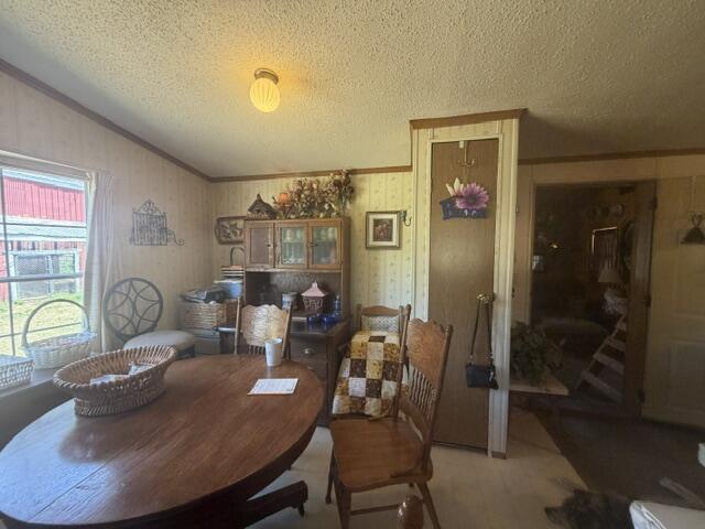 2045 South Hill Road Baldwin, MI 49304 - Photo 24 of 43 Gallery Image 24