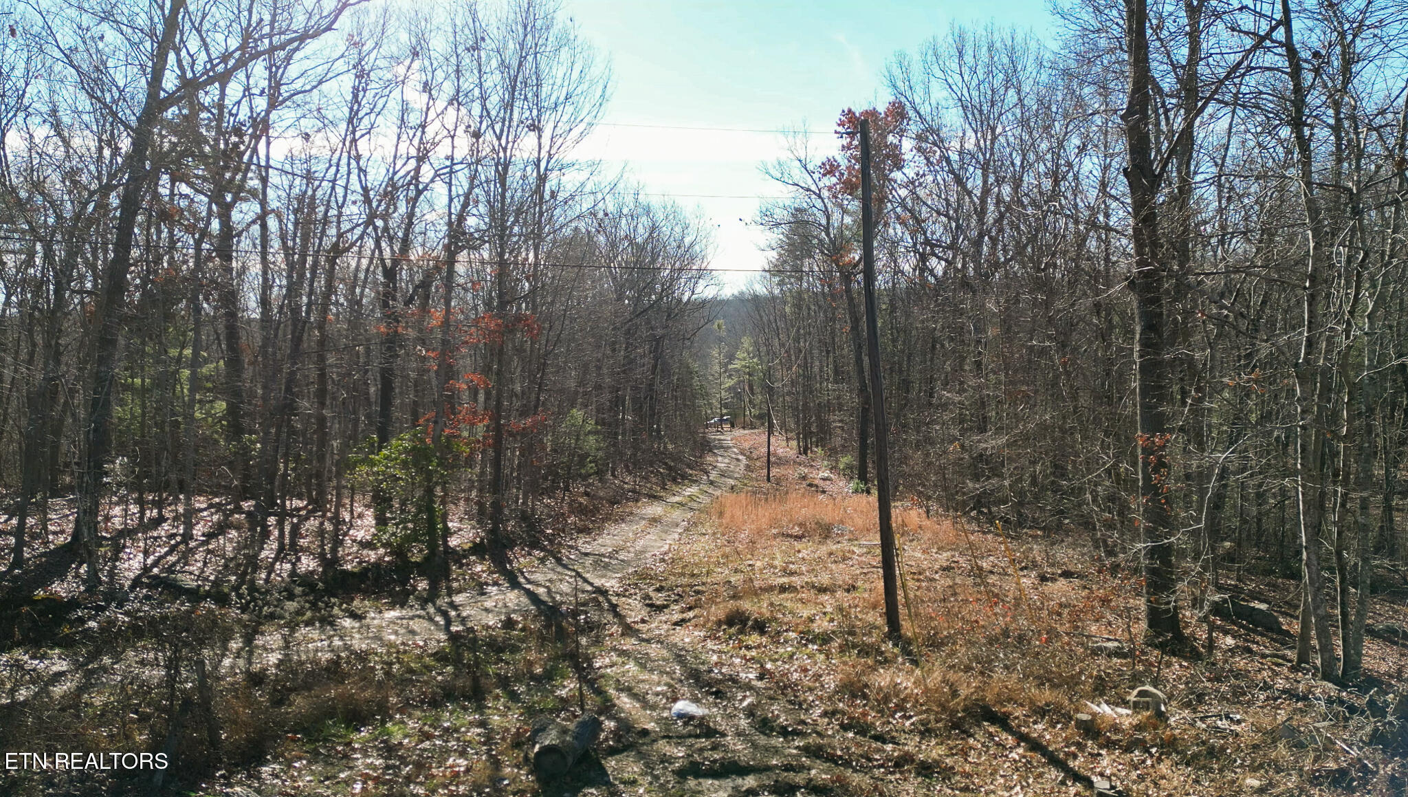 5.88 Log Road Spring City, TN 37381 - Photo 12 of 15 untitled-12