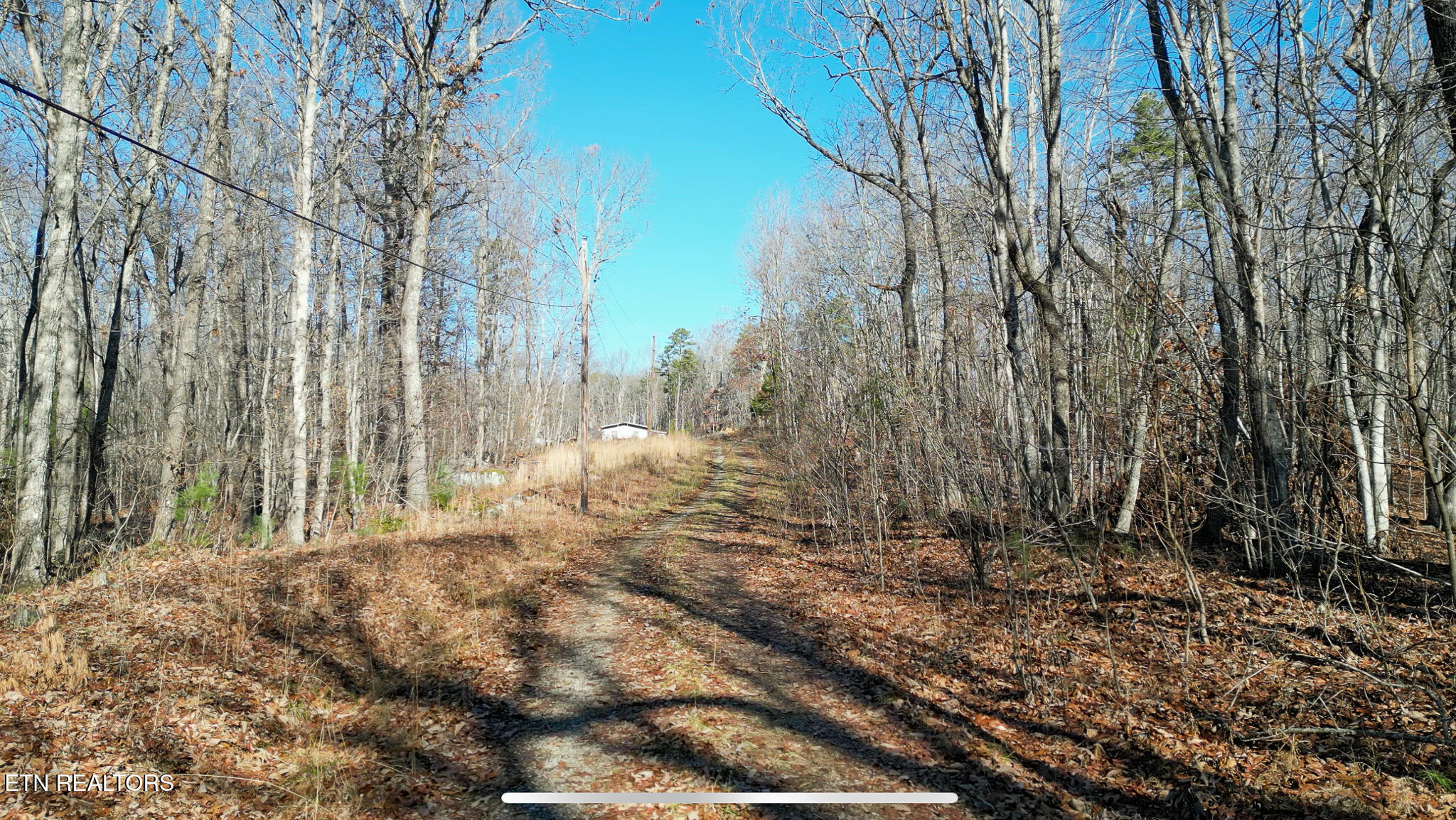 5.88 Log Road Spring City, TN 37381 - Photo 14 of 15 untitled-14