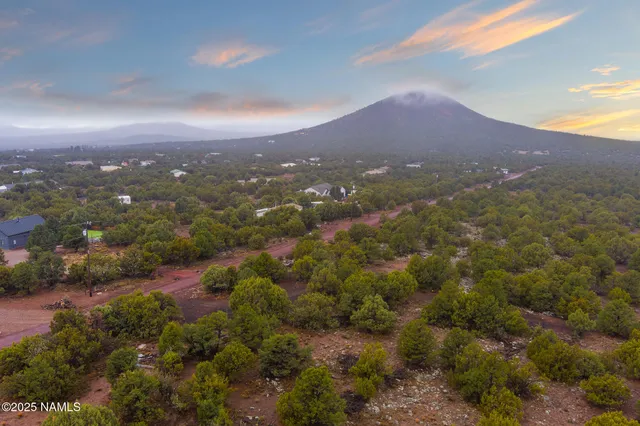 an aerial view of residential house with outdoor space