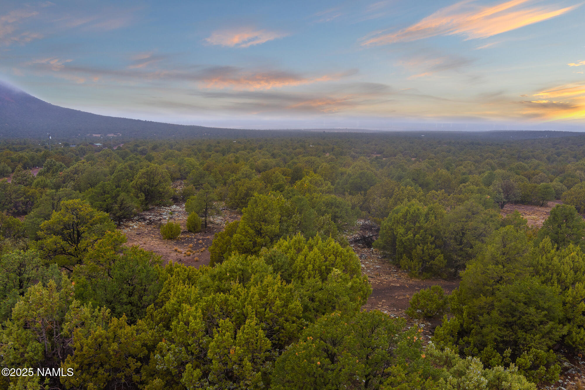 2409 East New Moon Way Williams, AZ 86046 - Photo 17 of 33 a view of a city with lush green forest
