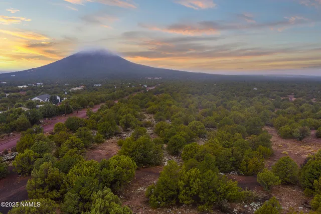 a view of a lot of trees and houses