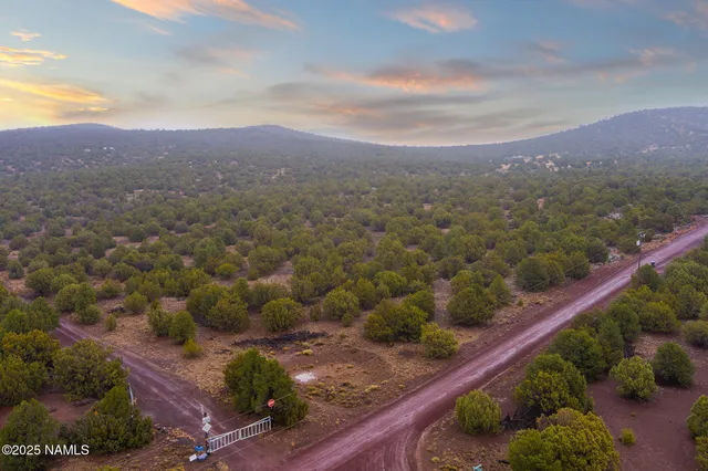 a view of a city with mountains in the background