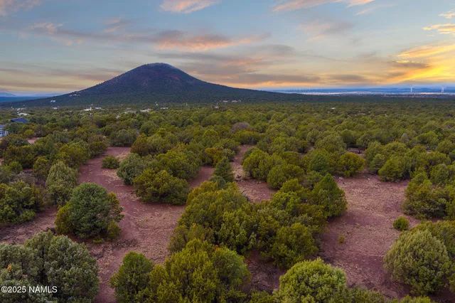 a view of a city with mountains in the background