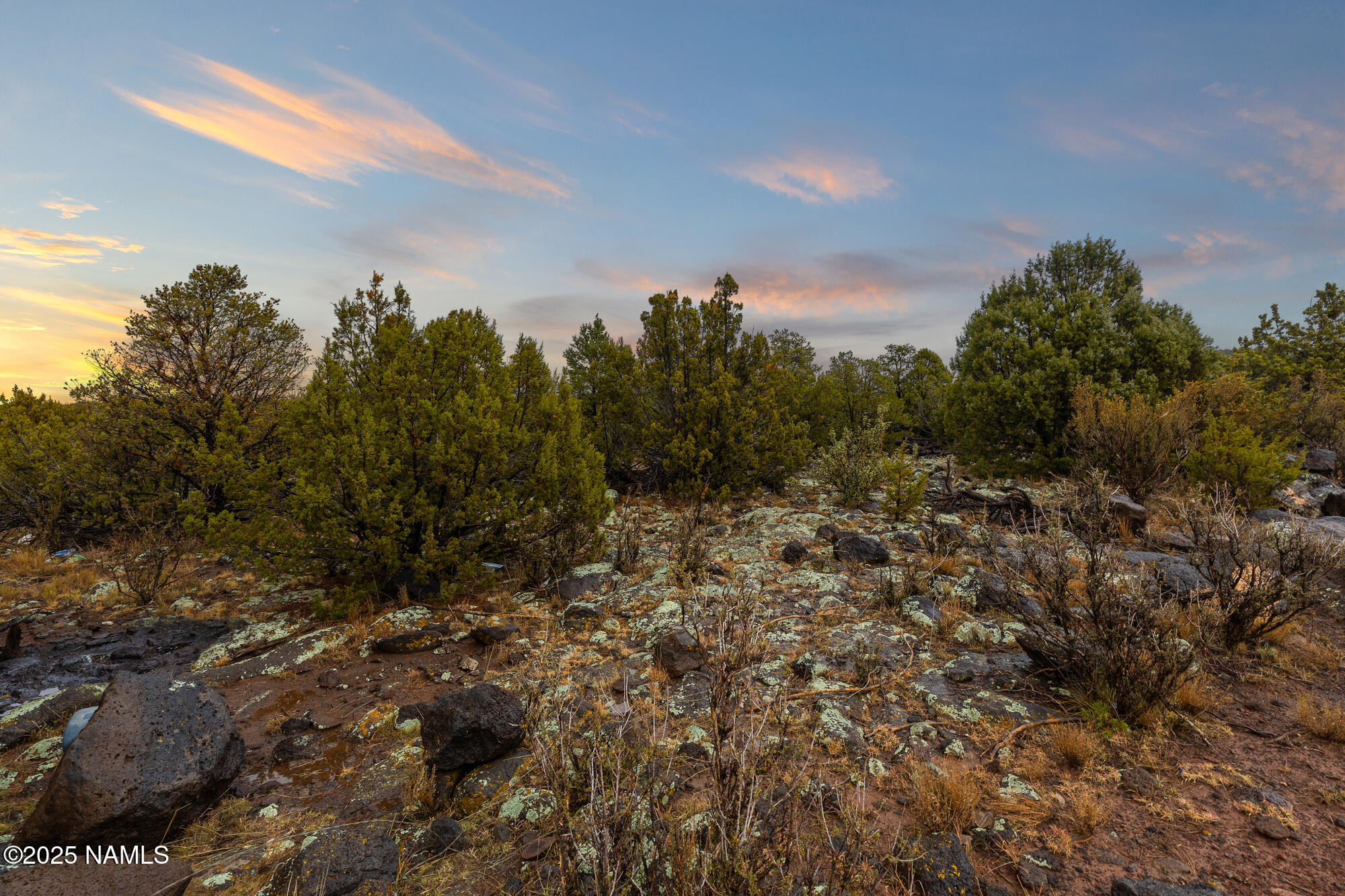 2409 East New Moon Way Williams, AZ 86046 - Photo 27 of 33 a view of a bunch of trees in a field