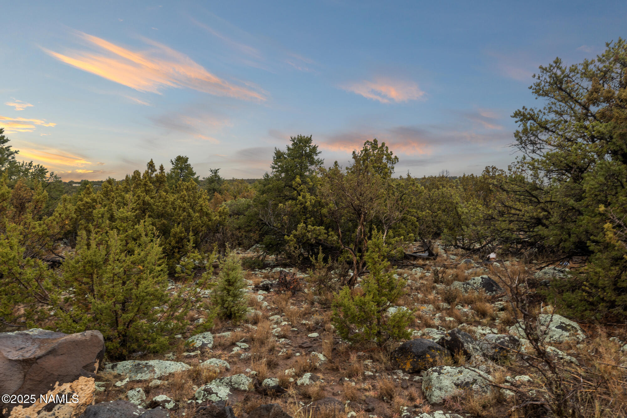 2409 East New Moon Way Williams, AZ 86046 - Photo 28 of 33 a view of a bunch of trees in a field