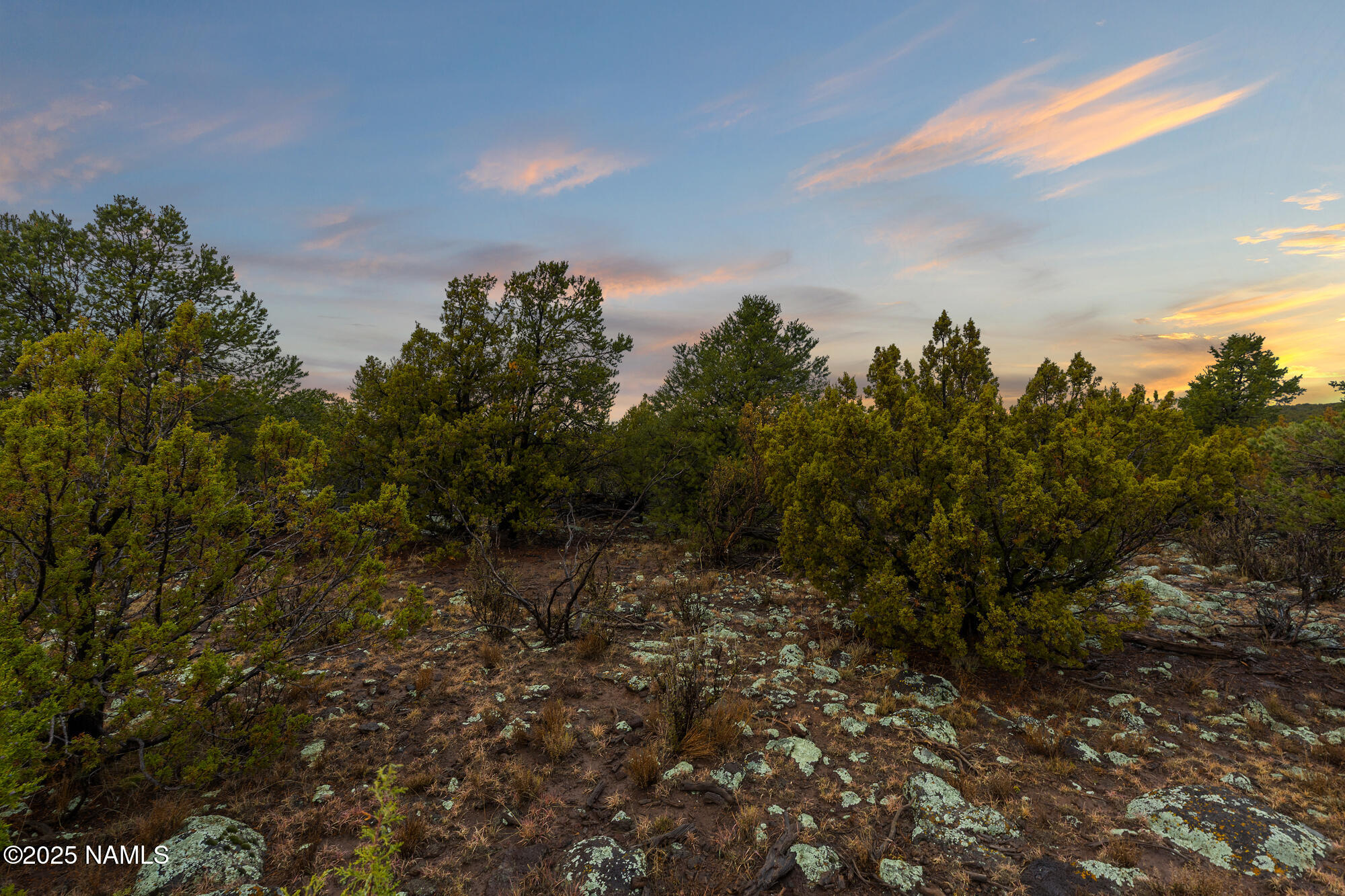 2409 East New Moon Way Williams, AZ 86046 - Photo 29 of 33 a view of a city with lush green forest