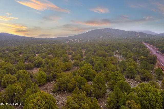 a view of a city and mountains