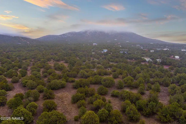 a view of a city with lush green forest