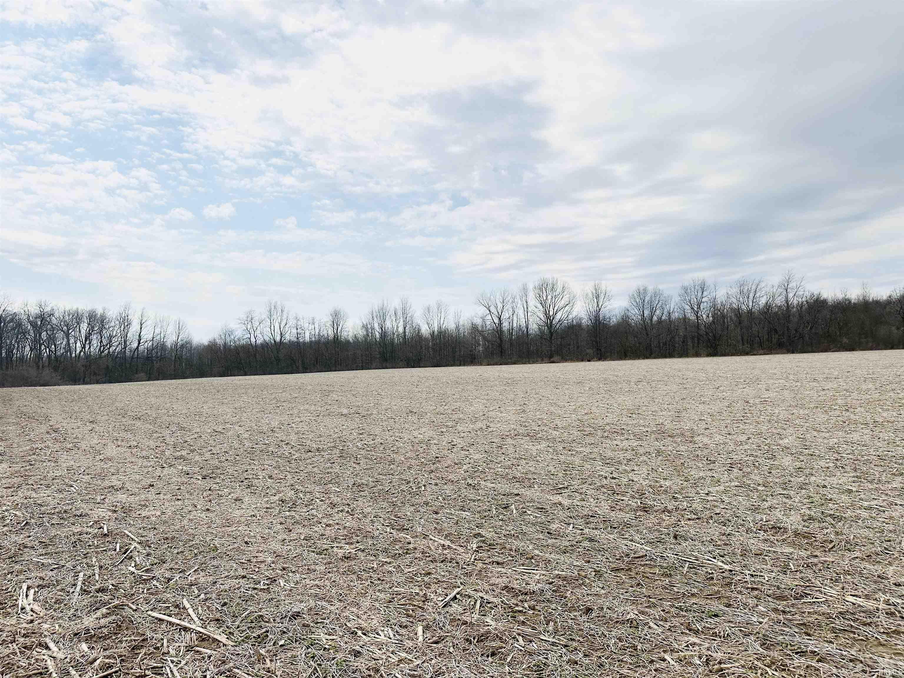 Redwood/vacant Land Road North Liberty, IN 46554 - Photo 8 of 12 Gallery Image 8