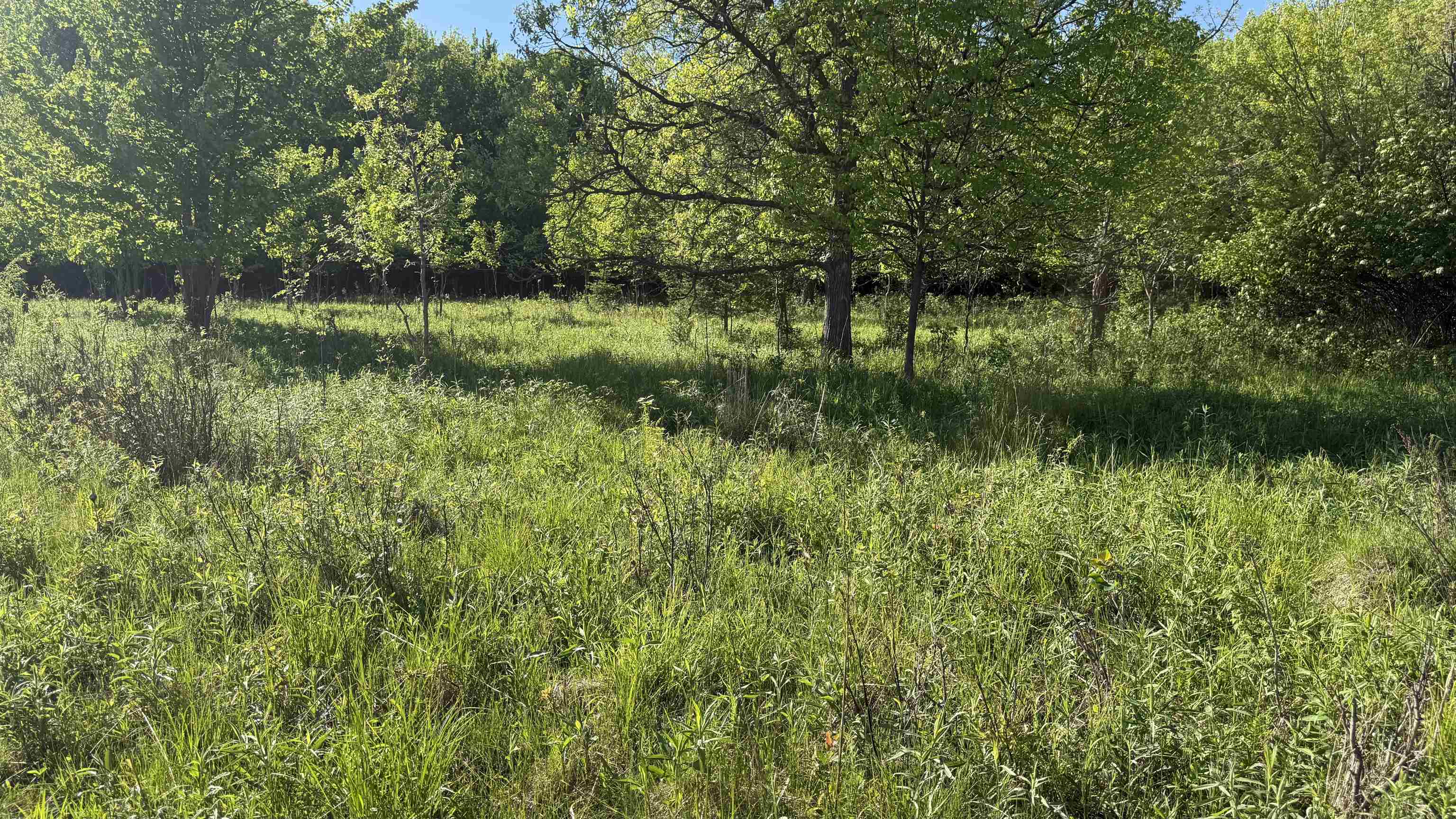 Lot 3 Eau Claire River Road Ringle, WI 54471 - Photo 9 of 28