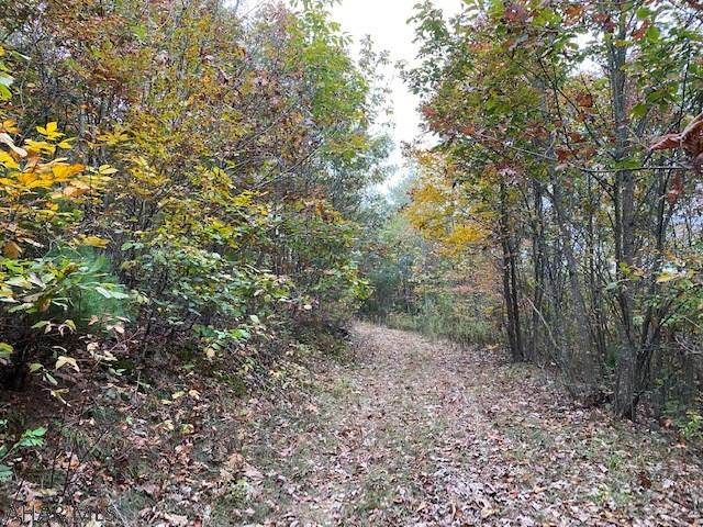 110 Mearkle Road Clearville, PA 15535 - Photo 6 of 35 Gallery Image 6