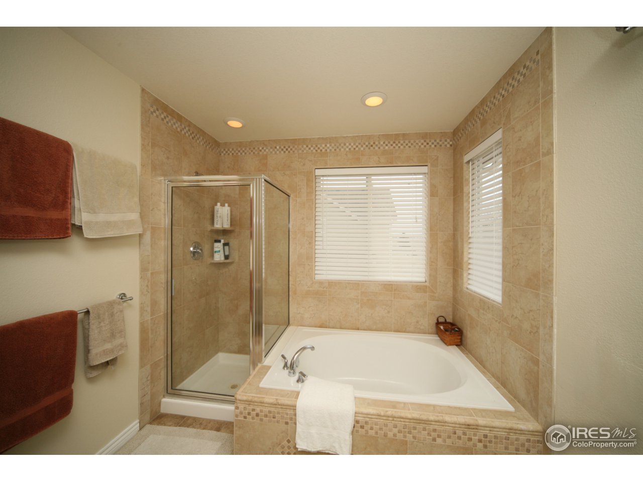 5503 Rabbit Creek Road Fort Collins, CO 80528 - Photo 8 of 15 Master Bathroom