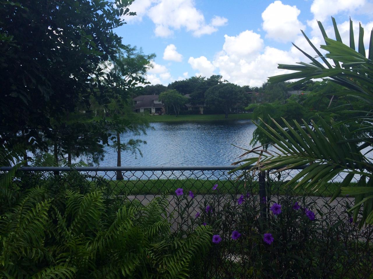 6506 Pond Apple Road Boca Raton, FL 33433 - Photo 4 of 9 frier lake