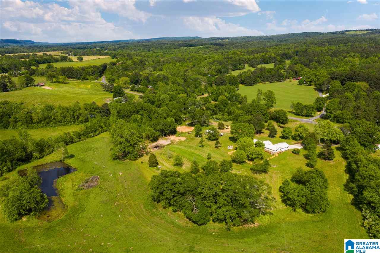 3129 Highway 33 Oneonta Al Oneonta, AL 35121 - Photo 44 of 48