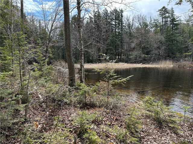 $299,000 | East Shore Road, Stratford, NY 13470