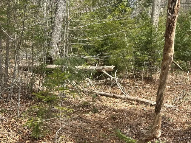 $299,000 | East Shore Road, Stratford, NY 13470