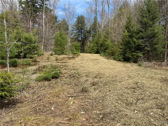 $299,000 | East Shore Road, Stratford, NY 13470