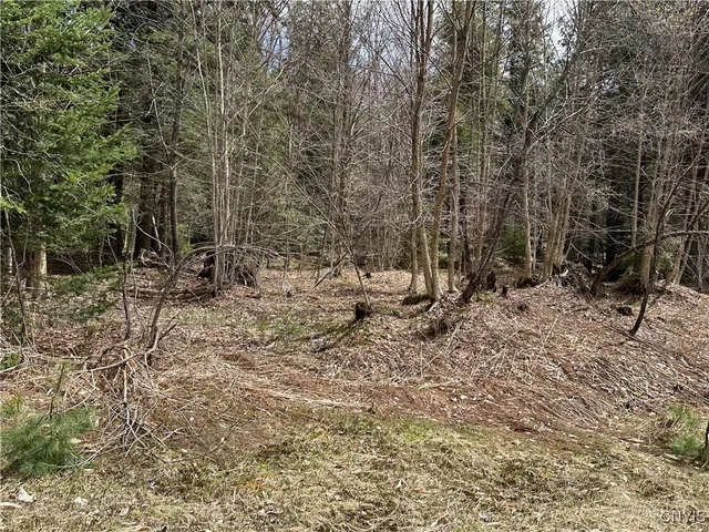 $299,000 | East Shore Road, Stratford, NY 13470