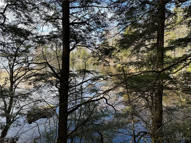 $299,000 | East Shore Road, Stratford, NY 13470