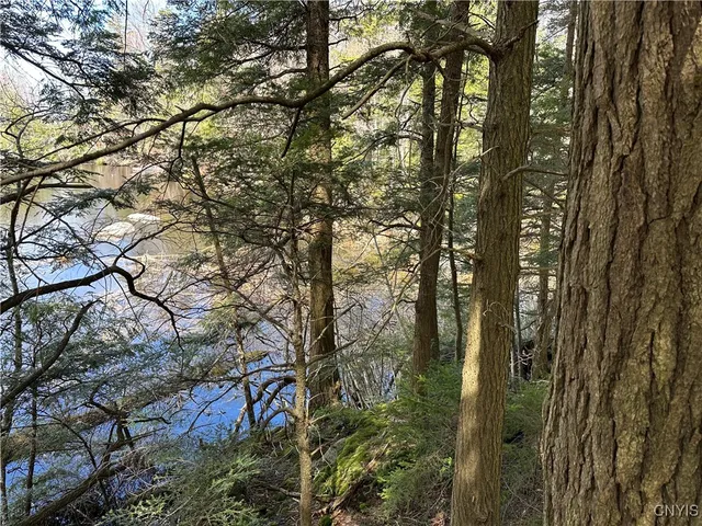 $299,000 | East Shore Road, Stratford, NY 13470