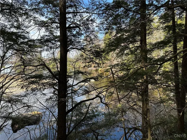 $299,000 | East Shore Road, Stratford, NY 13470