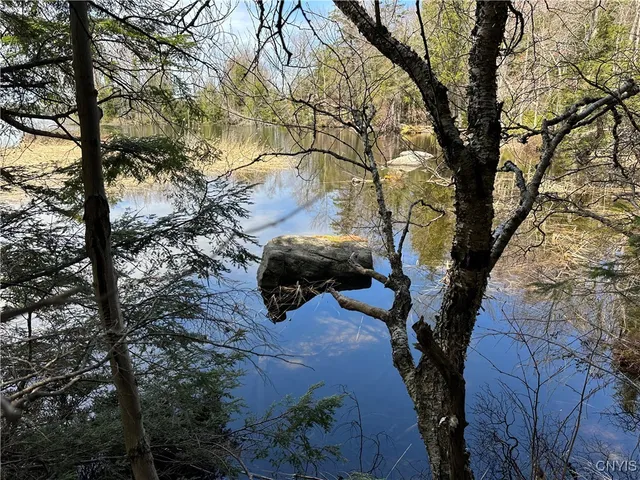 $299,000 | East Shore Road, Stratford, NY 13470