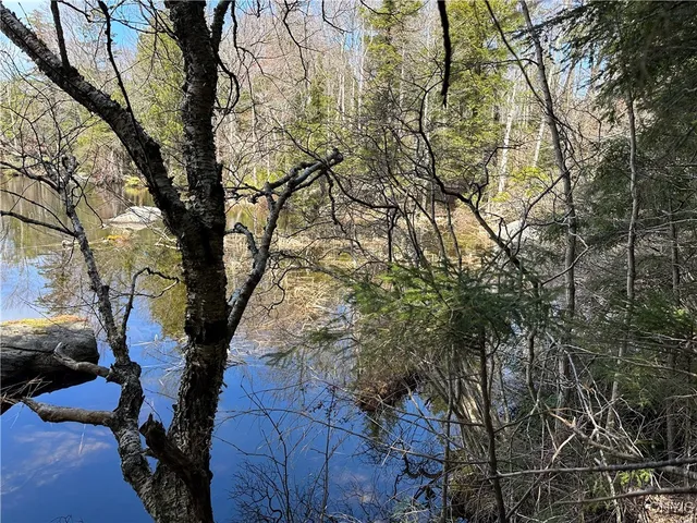 $299,000 | East Shore Road, Stratford, NY 13470