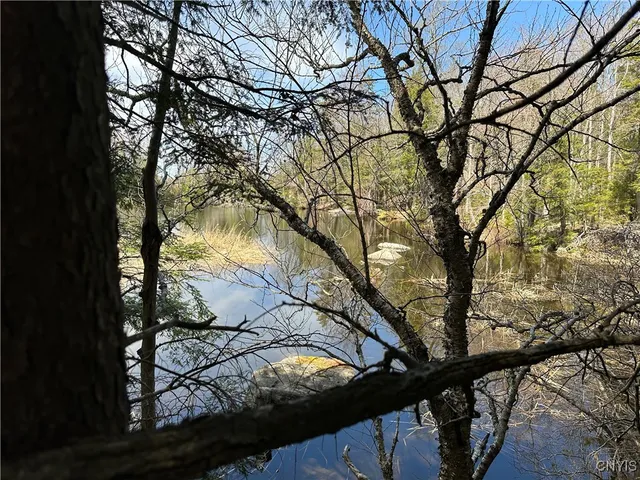 $299,000 | East Shore Road, Stratford, NY 13470