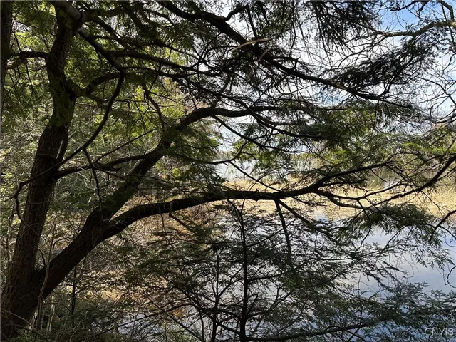 $299,000 | East Shore Road, Stratford, NY 13470