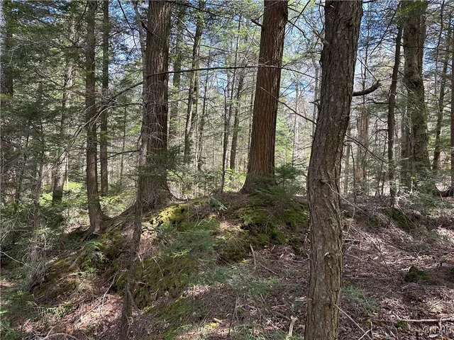 $299,000 | East Shore Road, Stratford, NY 13470