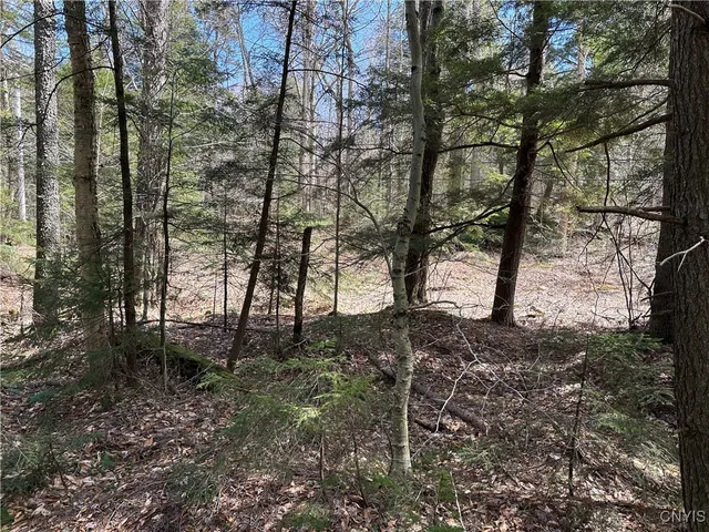 $299,000 | East Shore Road, Stratford, NY 13470