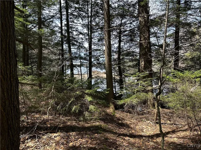 $299,000 | East Shore Road, Stratford, NY 13470