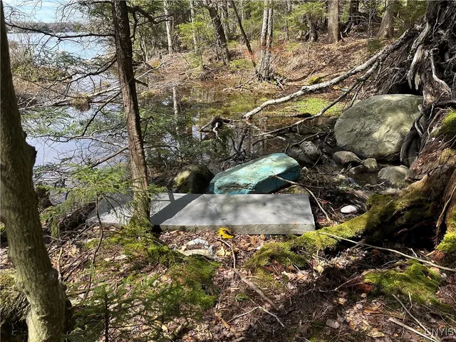 $299,000 | East Shore Road, Stratford, NY 13470