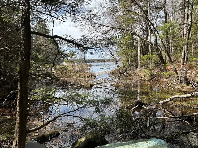 $299,000 | East Shore Road, Stratford, NY 13470