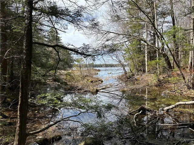 $299,000 | East Shore Road, Stratford, NY 13470