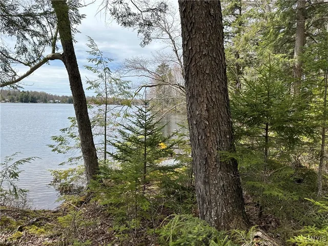 $299,000 | East Shore Road, Stratford, NY 13470