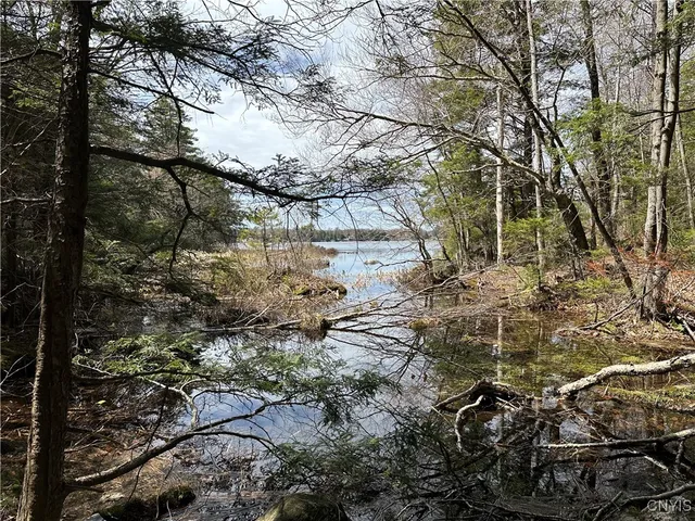 $299,000 | East Shore Road, Stratford, NY 13470