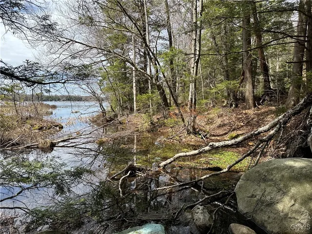 $299,000 | East Shore Road, Stratford, NY 13470