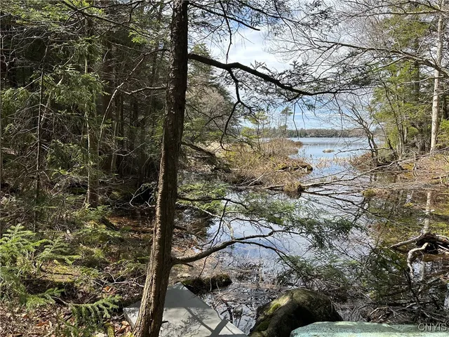 $299,000 | East Shore Road, Stratford, NY 13470