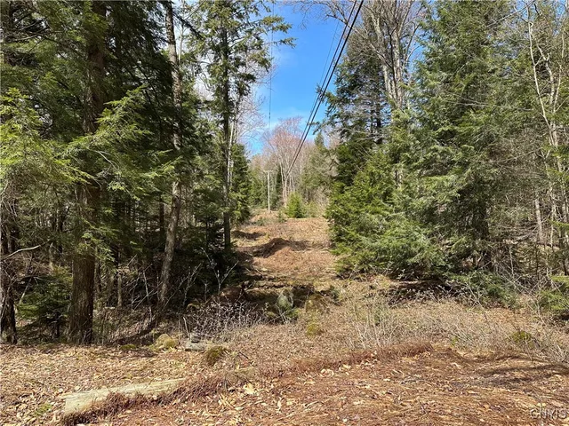 $299,000 | East Shore Road, Stratford, NY 13470