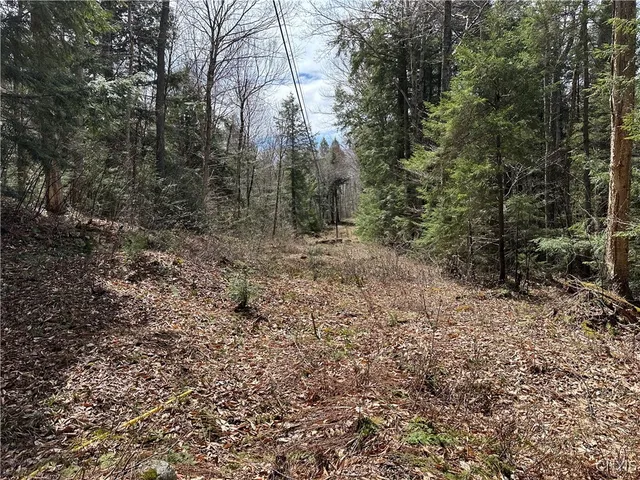 $299,000 | East Shore Road, Stratford, NY 13470