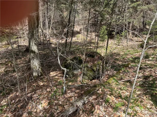 $299,000 | East Shore Road, Stratford, NY 13470