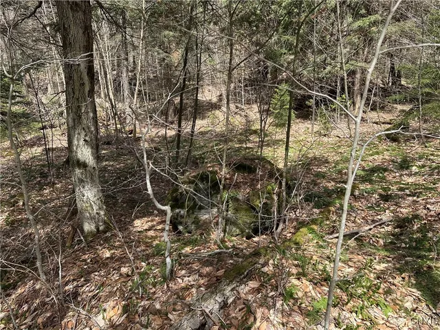 $299,000 | East Shore Road, Stratford, NY 13470