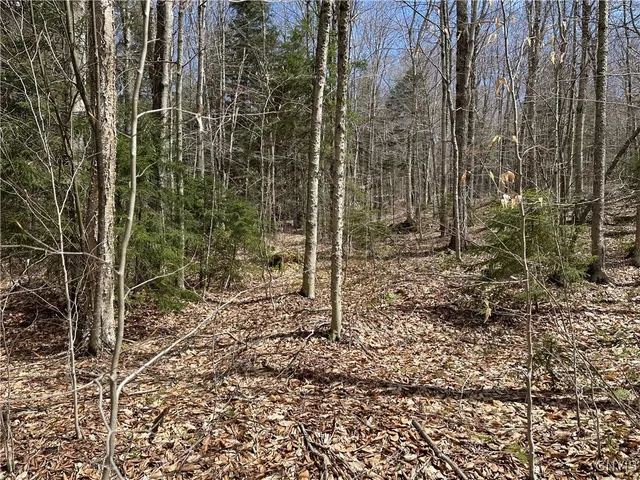 $299,000 | East Shore Road, Stratford, NY 13470