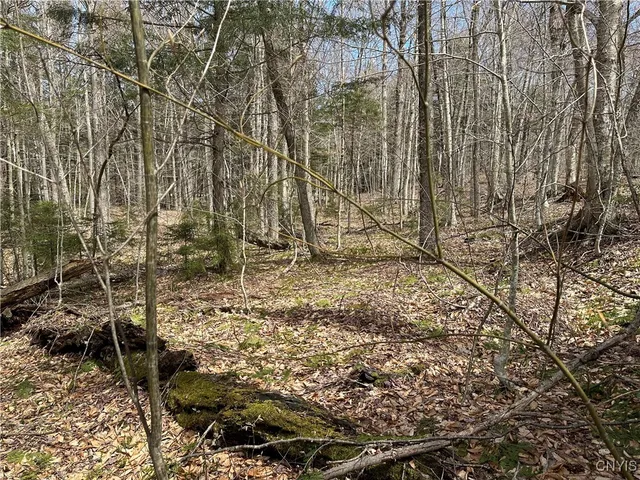 $299,000 | East Shore Road, Stratford, NY 13470