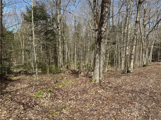 $299,000 | East Shore Road, Stratford, NY 13470