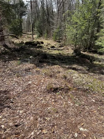 $299,000 | East Shore Road, Stratford, NY 13470