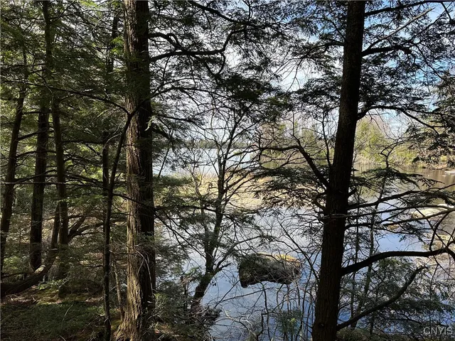 $299,000 | East Shore Road, Stratford, NY 13470