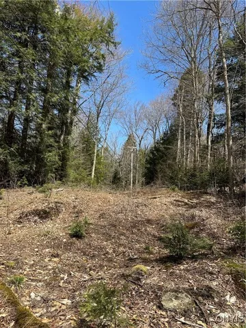 $299,000 | East Shore Road, Stratford, NY 13470